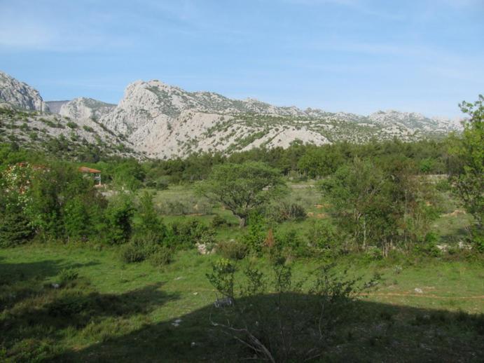 Paklina Apartments Starigrad Paklenica Eksteriør billede