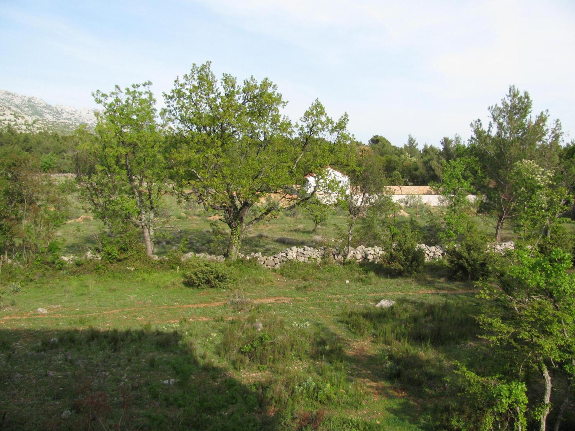 Paklina Apartments Starigrad Paklenica Eksteriør billede